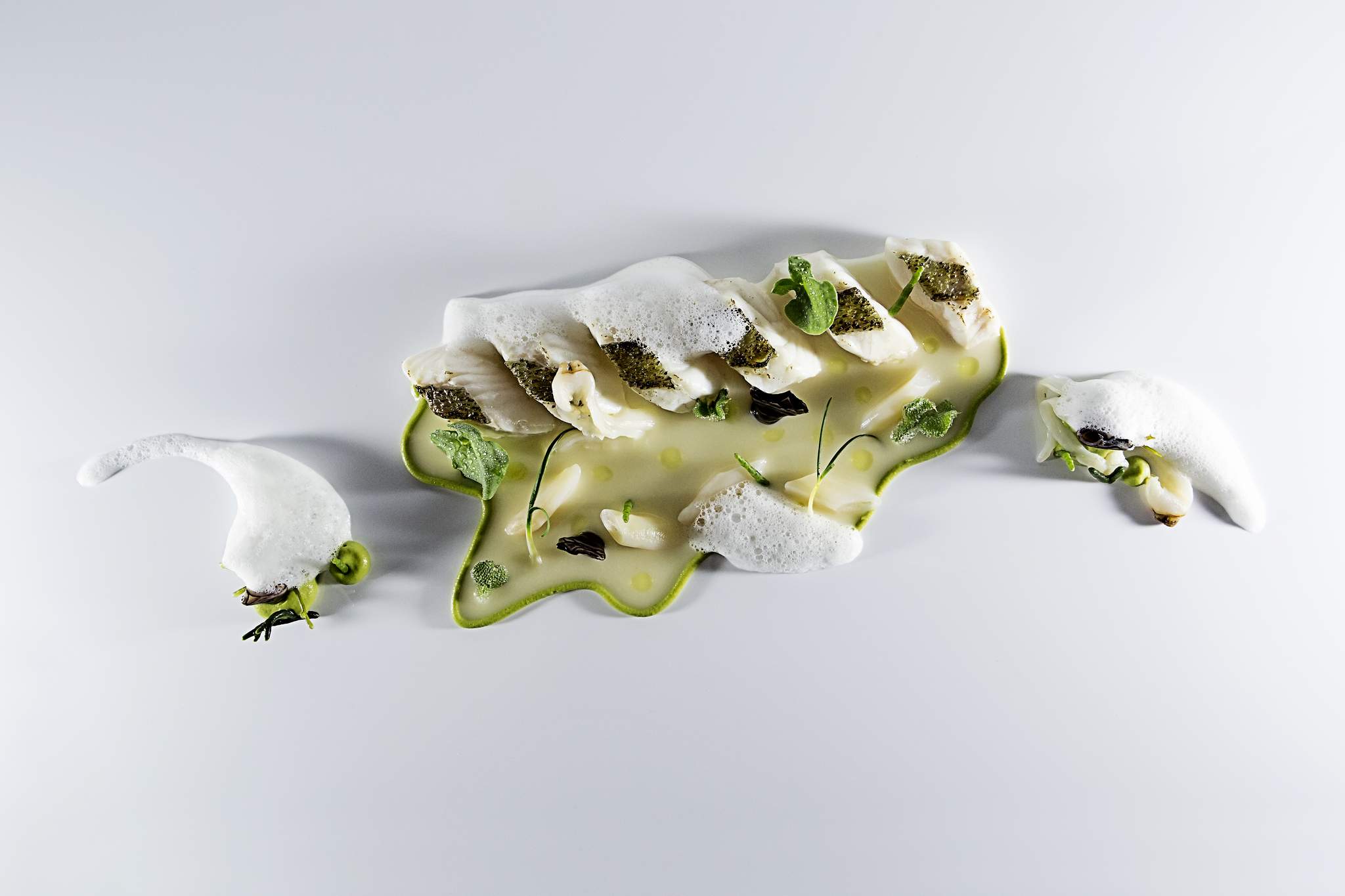 Gallo San Pedro, pilpil de albariño, percebes y navajas