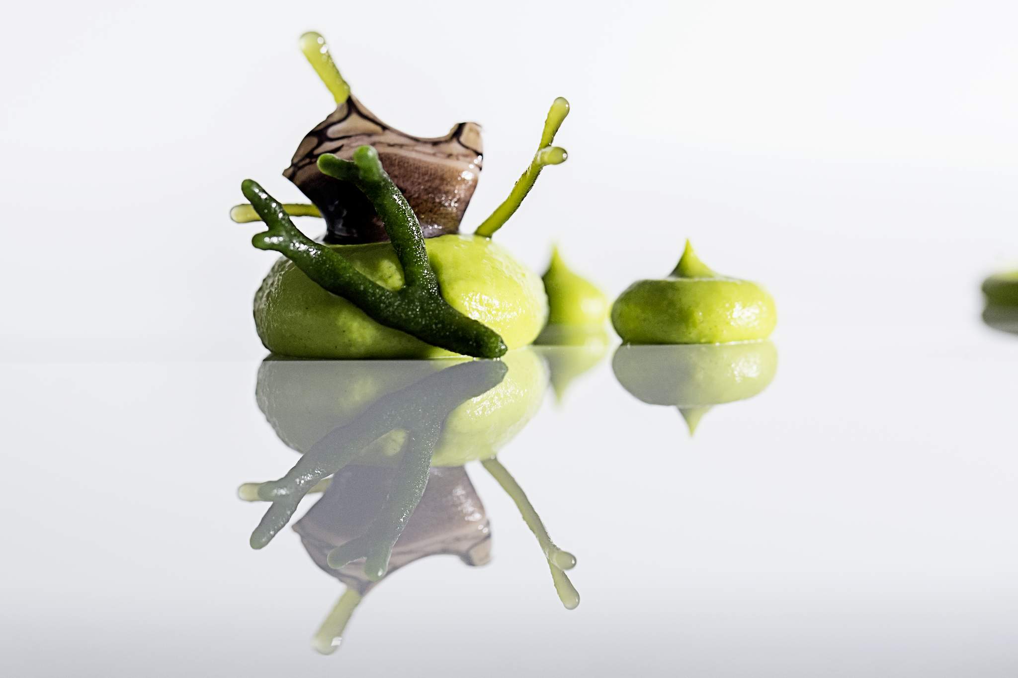 Gallo San Pedro, pilpil de albariño, percebes y navajas
